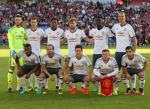 但在康复专 但在康复专